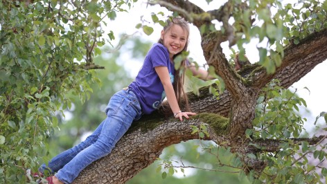 Mädchen kletter auf Baum